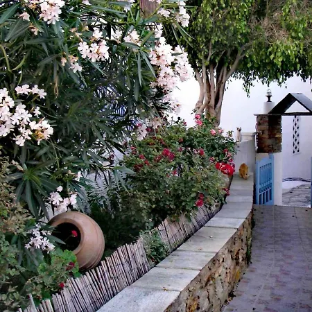 Virginia Apartment Tinos