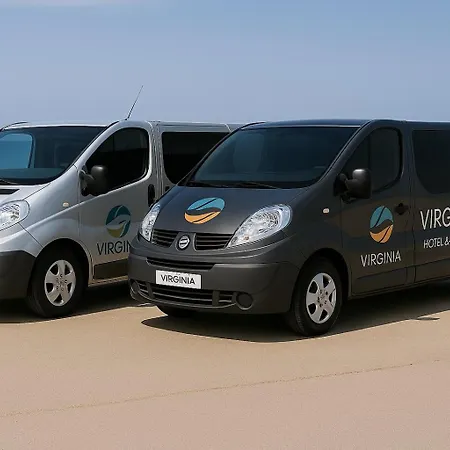 Virginia 公寓 Tínos